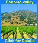 Wine Country Tours Logo